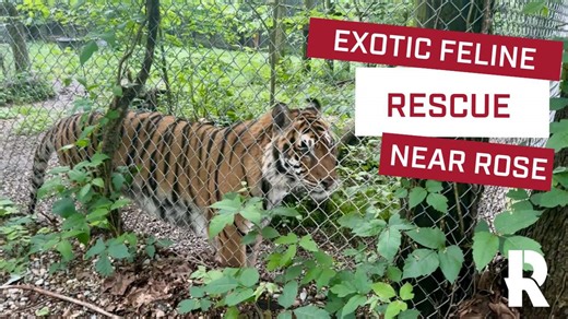 10K views · 159 reactions | Did you know just 30 minutes from campus...