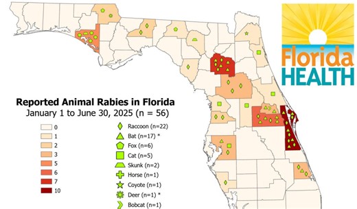 Florida reports 56 animal rabies cases in the 1st half of 2025