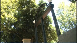 What will college classes look like this fall? University System of Georgia details possibilities