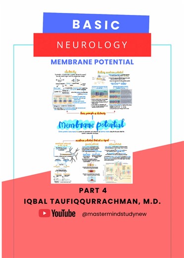 Graded potential vs Action potential ⚡🧠 Graded potential itu respons lokal — besarnya tergantung seberapa kuat stimulusnya. Bisa naik, bisa turun, dan bisa dijumlahkan. Tapi kalau sudah melewati ambang batas? Boom 💥 muncul action potential — sinyal listrik “all or none” yang menjalar sepanjang akson tanpa berkurang. Inilah dasar bagaimana sistem saraf mengirimkan informasi dengan cepat dan presisi. 🔬✨ Graded potential vs Action potential ⚡🧠 Graded potentials are local responses — their ampli