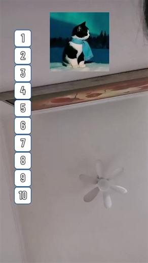 Amberᰔᩚᥫ᭡ (@amber_copones)’s videos with original sound - gab