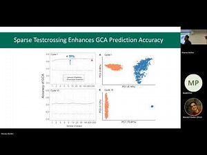 Sparse testcrossing for early-stage genomic prediction of GCA in maize hybrid breeding programs