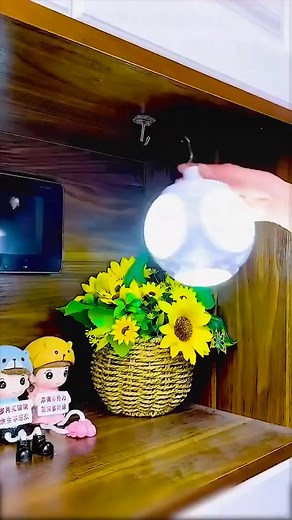 Search for Amazon Dusk To Dawn Led Outdoor Lighting. | Top Advices