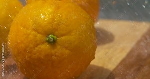 Washing fresh, ripe navel oranges in the sunlight