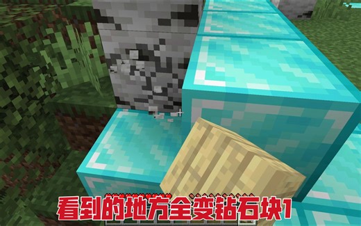 我的世界：看到的方块全变钻石块！