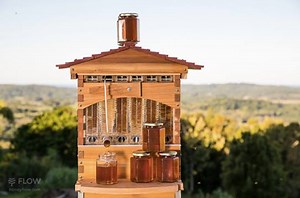 Our favorite beekeepers are back and saying thanks to the Indiegogo community with a Flash Sale. They're selling the Flow Hive classic again until Midnight on August 22th and will ship within 3 working days: http://bit.ly/2aGUuSr | Indiegogo