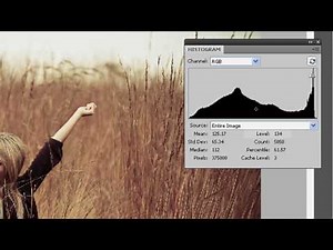 Photoshop 101 e.3 - What is a Histogram : Beginner Tutorial