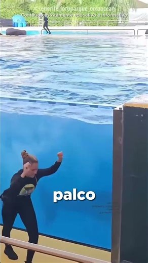 ESSE É O PRIMEIRO GOLFINHO DANÇARINO DO MUNDO