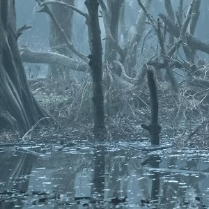 49K views · 867 reactions | Follow the journey of Geralt of Rivia by listening to the music from The Witcher Netflix. Including "Toss A Coin To Your Witcher", "Her Sweet Kiss", "Geralt of Rivia”. | Sony Music Soundtracks | Facebook