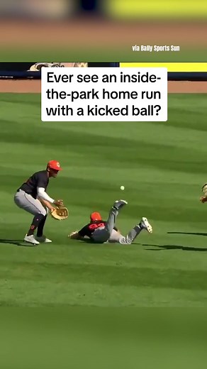 The things you see in spring training 😂 #mlb #baseball #baseballtiktok