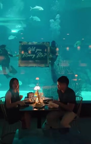 One of the most unique wedding proposals you will ever see
