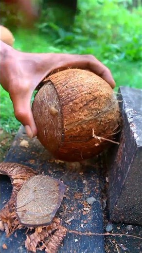Technique removing black coconut from its Shell