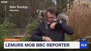 Watch this BBC reporter's wild day on the job 😂 | HLN