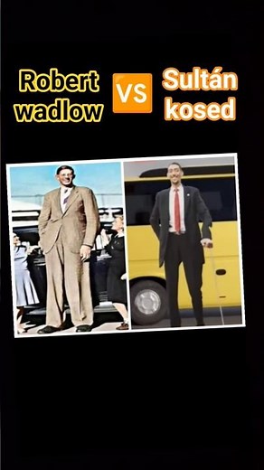 sultán kosen 🆚 Robert wadlow #darkafter #robertwadlow #shorts