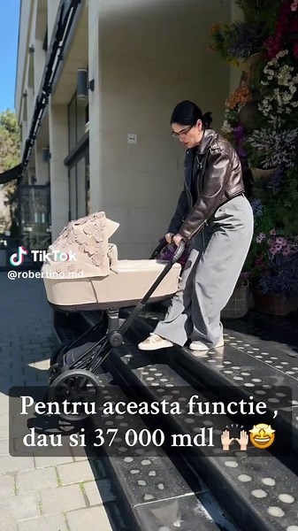 Cybex Priam: Unveiling the Features and Pricing