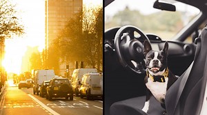 New driving personality quiz reveals what kind of driver you are