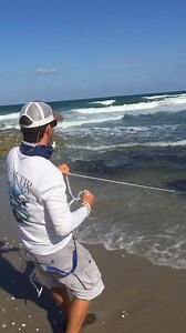 How many Baitfish did I Catch?? 😳 #fishing #bait #fish #beach #net | BlacktipH