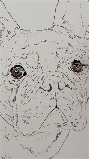 “Bode was the funniest pup ever. He loved pacifiers and pajamas, and made every box and basket a bed. He was known to protest us traveling by crawling in our suitcases. When he was a pup he would flip his bowl when he was hungry, and as he got older (and lazy) he started just standing and barking at us until we fed him. “He survived a broken neck and ruptured spleen, and lived to see 14 beautiful years. He was the best dog and we miss him so much. I can’t wait to hang this gorgeous painting in o