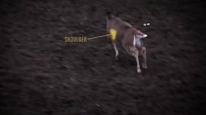 1.4K views · 38 reactions | Check out our new commercial for the Jak-Knife: | Wasp Archery | Facebook