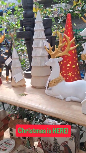 1.3K views · 14 reactions | Step into serenity at Big Jims... Come wander through our peaceful garden spaces and soak up a moment of calm! Relax, unwind… and let nature do the rest.. Open daily from 8.30am | Big Jims Garden Centre | Facebook