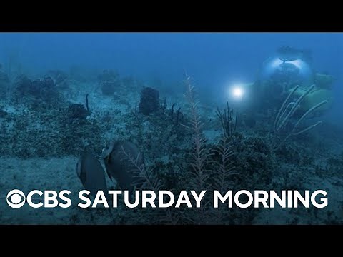 A dive to the deepest parts of all five oceans