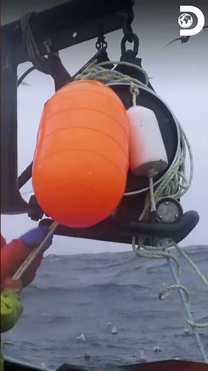 Las traineras desplazan las jaulas del Summer Bay