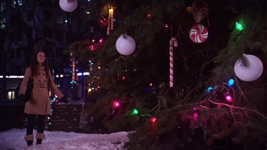 Dear.Santa.2011.1080p.WEBRip.x264.AAC-rivestream.org