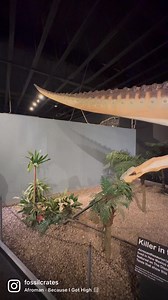 16K views · 246 reactions | High Five! Acrocanthosaurus atokaensis...