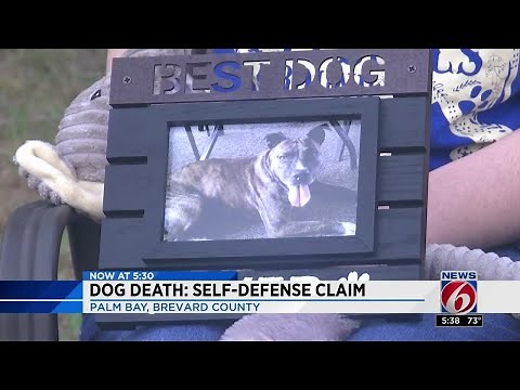 Dog walker shoots pit bull during attack, police say