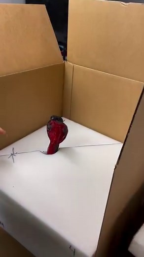 442K views · 3.5K reactions | Erin shows how the pros pack a beautiful glass sculpture for transport. Every section of dense foam is hand cut precisely to the piece. This glass cobra traveled all the way to Bangkok! | Garmezy Glass | Facebook