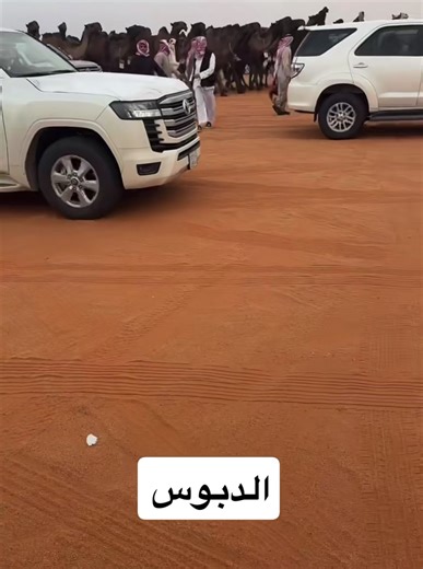 مهرجان الملك عبدالعزيز لمزاين الإبل 10