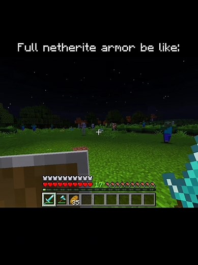 Minecraft: The End 💀