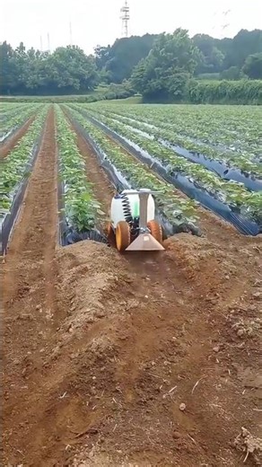 Remote-Controlled Pesticide Sprayer.
