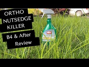 REVIEW: Ortho Max Nutsedge Killer RTU Does the Trick in My Front Yard