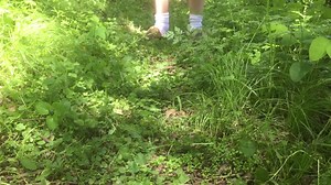 The 4 Best Grass Whips [& How to Use Them the RIGHT Way]