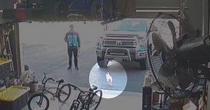 Amazon driver faces off against chicken trying to escape garage