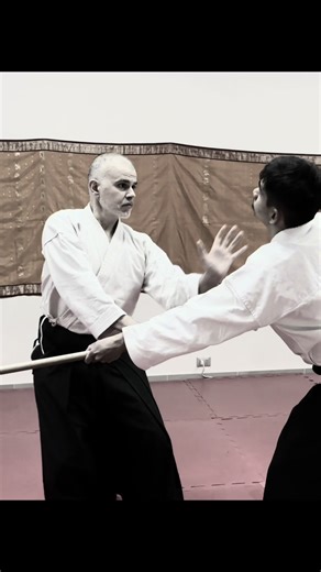 🔥Roberto Scotto / Atago #aikido #martialarts #aikido_techiniques #合気道 #modena