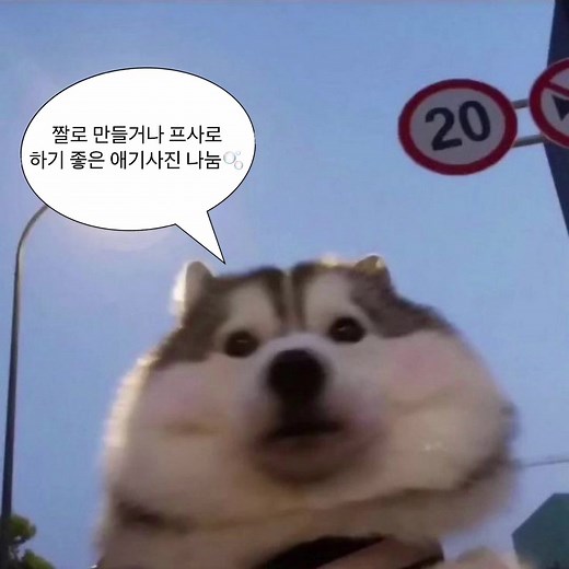 귀여운 아기 사진 나눔과 프사 추천
