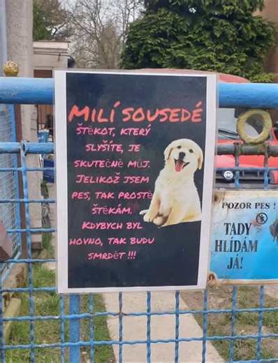 864 reactions · 100 shares | #pes #steka #a #co#jako #však #mluvit #nemuze #藍 #vtip #humor #sranda #je #to #ale #i #pravda #sousedi #uklidnetese # | Lenka Cirhanová | Facebook