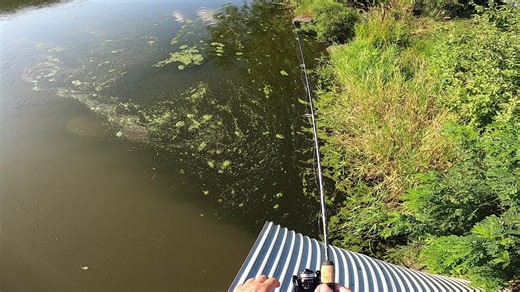 I can’t believe this happened 🤣#fyp #fail #fishtok #fishing #fishinglife