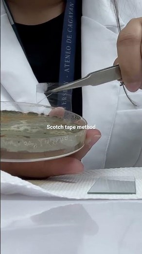 Scotch tape method for filamentous fungi