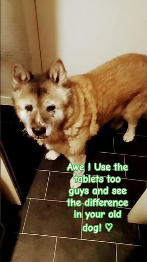 she comes first 🐶