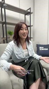 How to experience faster-than-light phenomena 💫