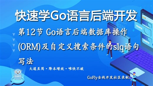 第12节 Go语言后端数据库的操作(ORM)及自定义搜索条件的slq语句写法