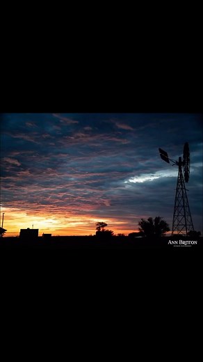 119 reactions · 26 shares | You need to see it to believe its “far horizons” amazing colours, wonderful animals, big sky country, wide open spaces. Who’s coming to see Outback Queensland in 2024? | Ann Britton Photography | Facebook