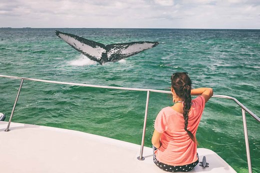The 18 Best Places to Whale Watch on the U.S. East Coast