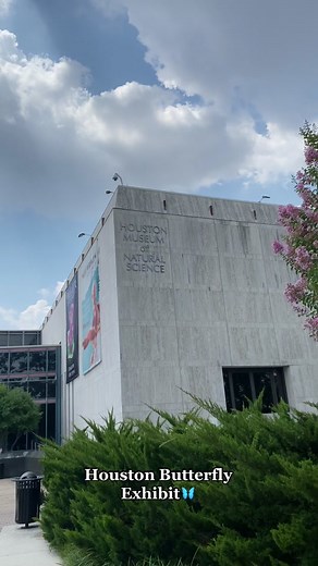 Discover the Wonders of Butterflies at the Houston Natural Science Museum