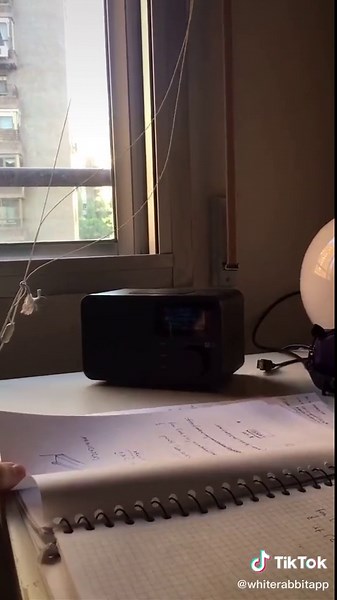 Discovering the Truth Behind the White Rabbit Series