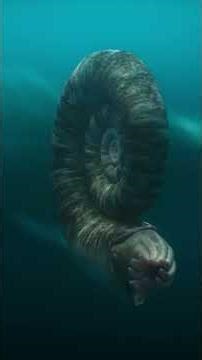 When Life Exploded — And Then Collapsed Again