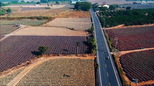 1ドラマ「路(ルウ) ～台湾エクスプレス～」